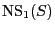 $ \mathrm{NS}_1(S)$